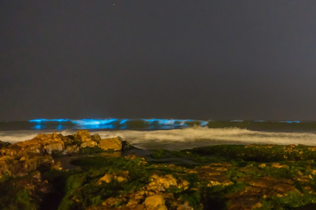 waves