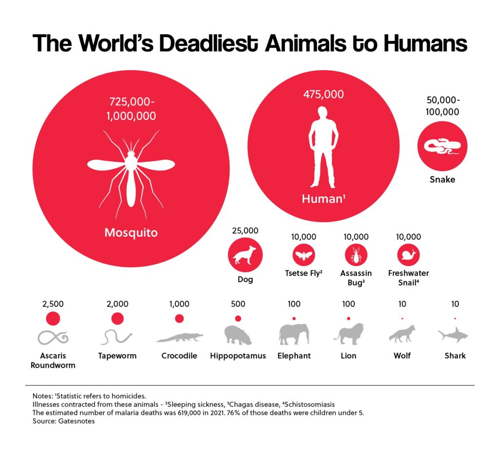 The World's Deadliest Animals to Humans