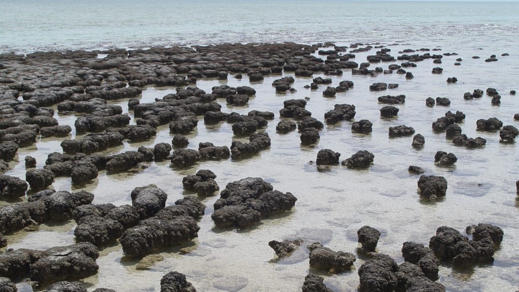 rocks