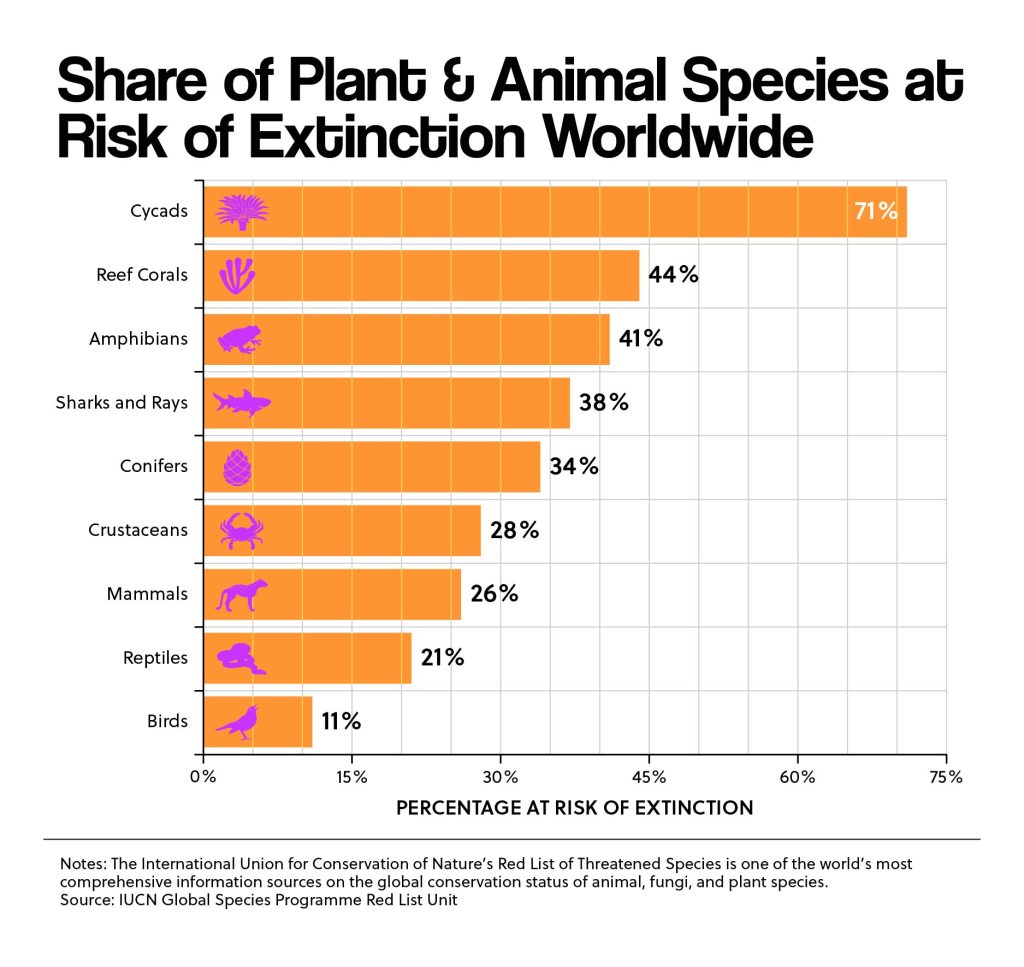 extinction