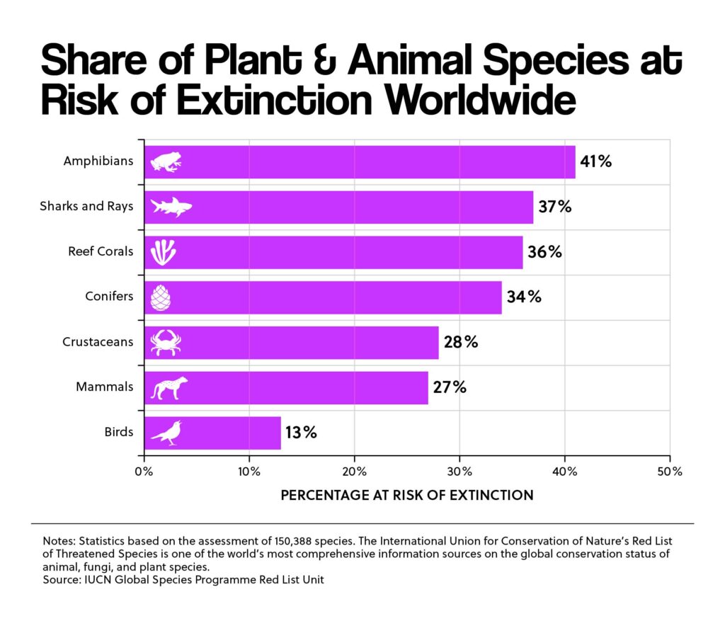 Share of Plant and Animal Species at Risk of Extinction Worldwide