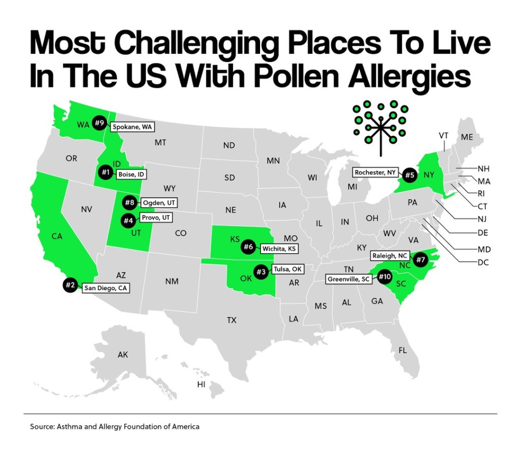 pollen