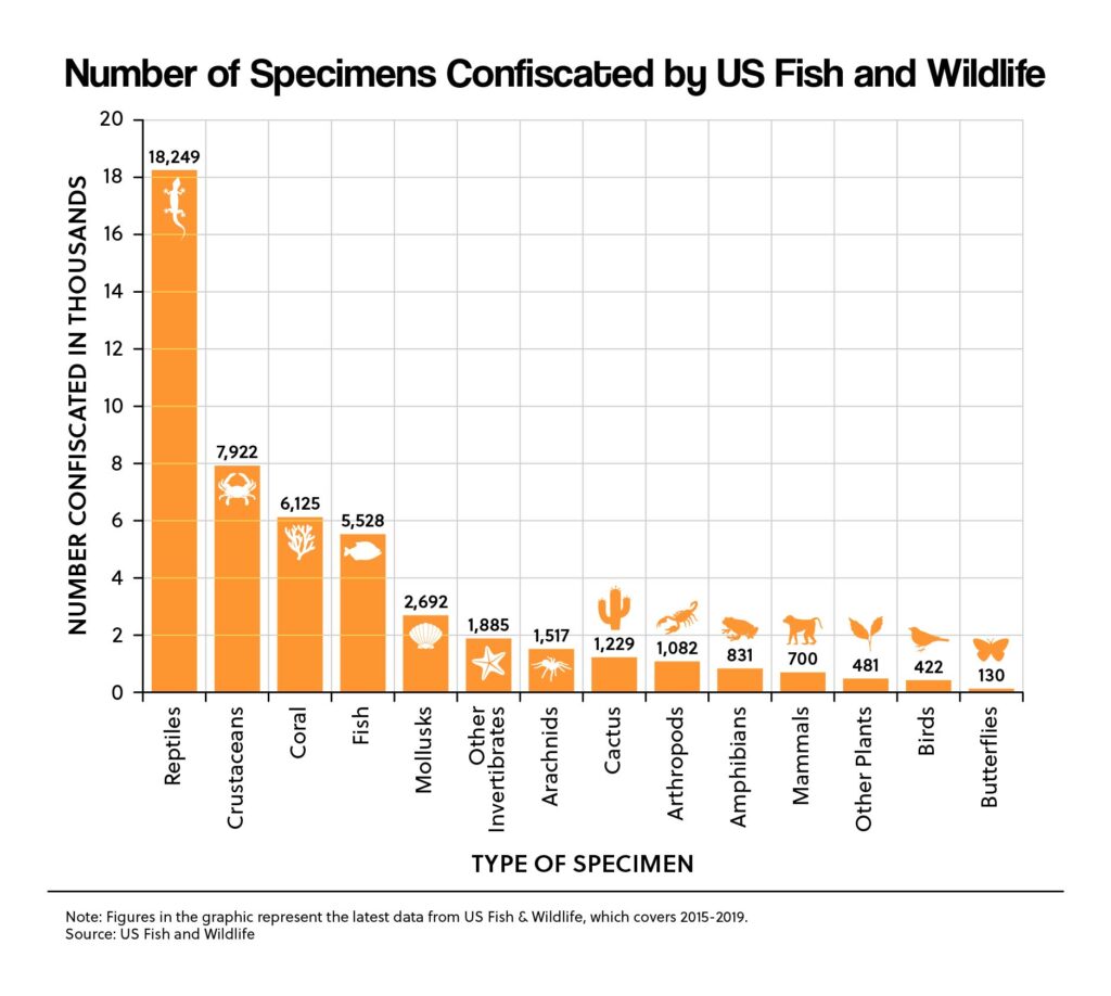 Number of Specimens Confiscated by US Fish and Wildlife