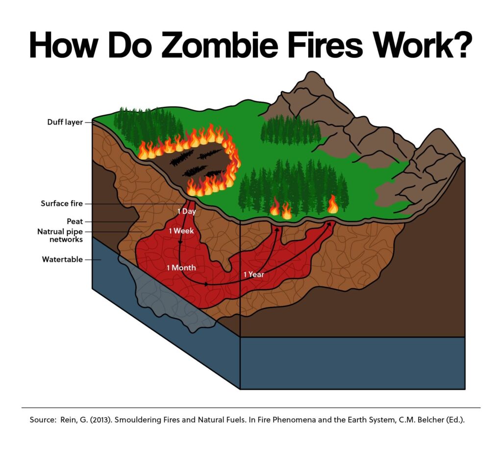 How Do Zombie Fires Work?