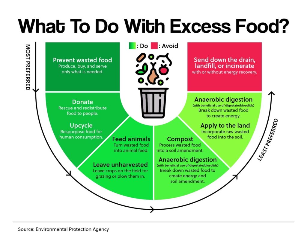 What To Do With Excess Food?