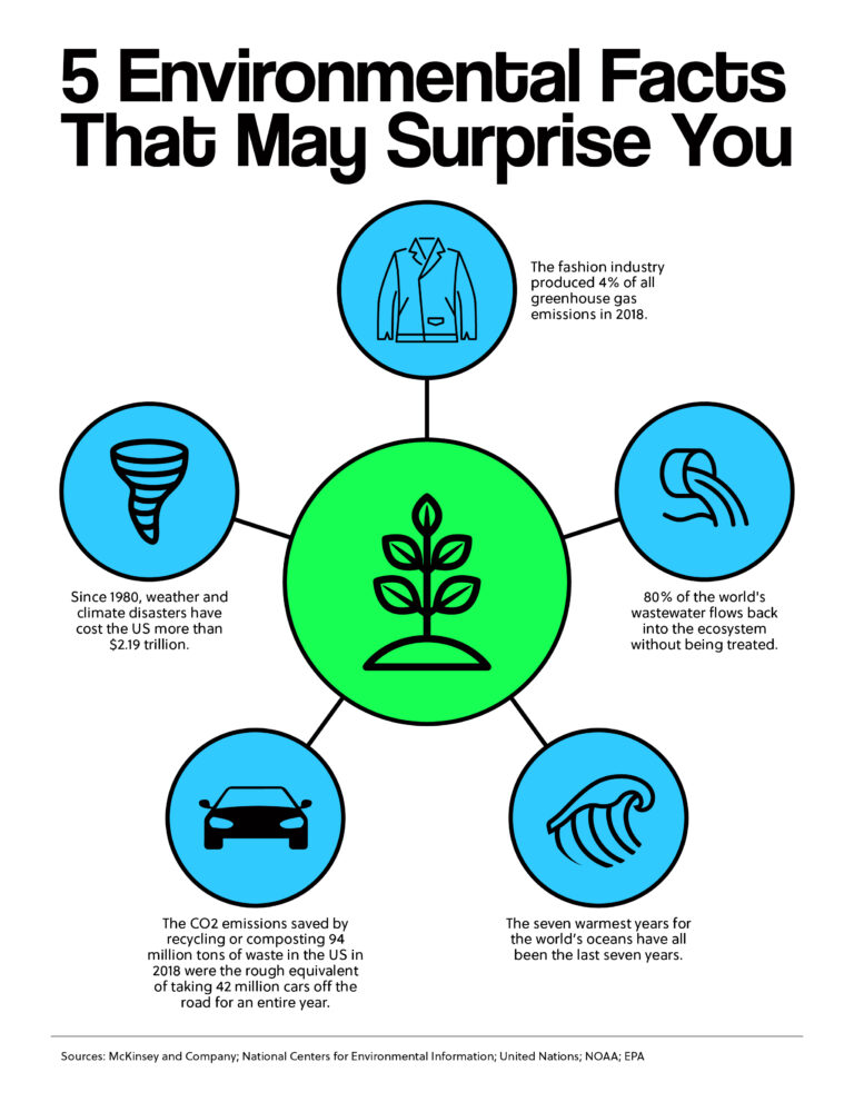 5 Environmental Facts That May Surprise You