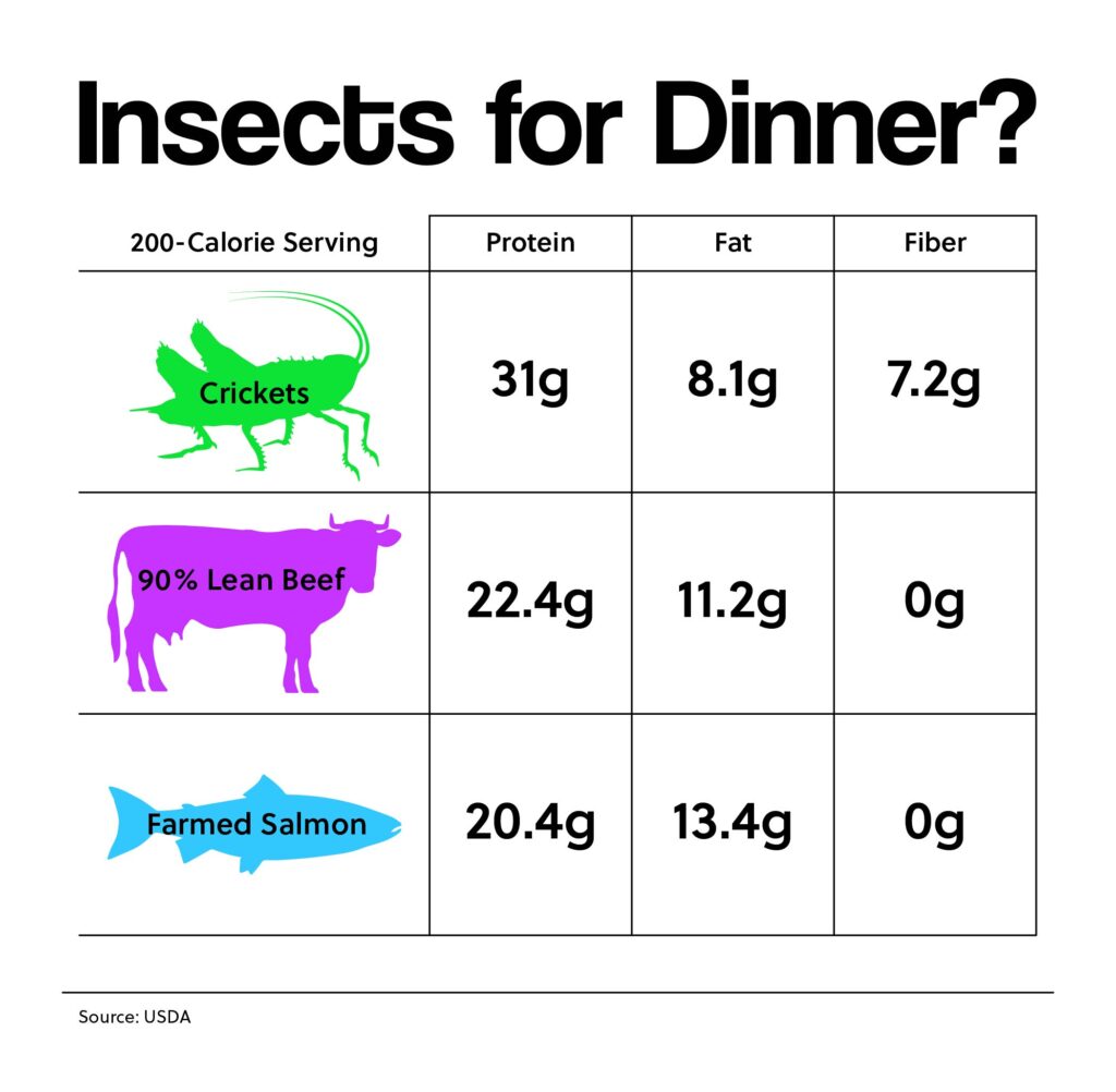 Insects for Dinner?