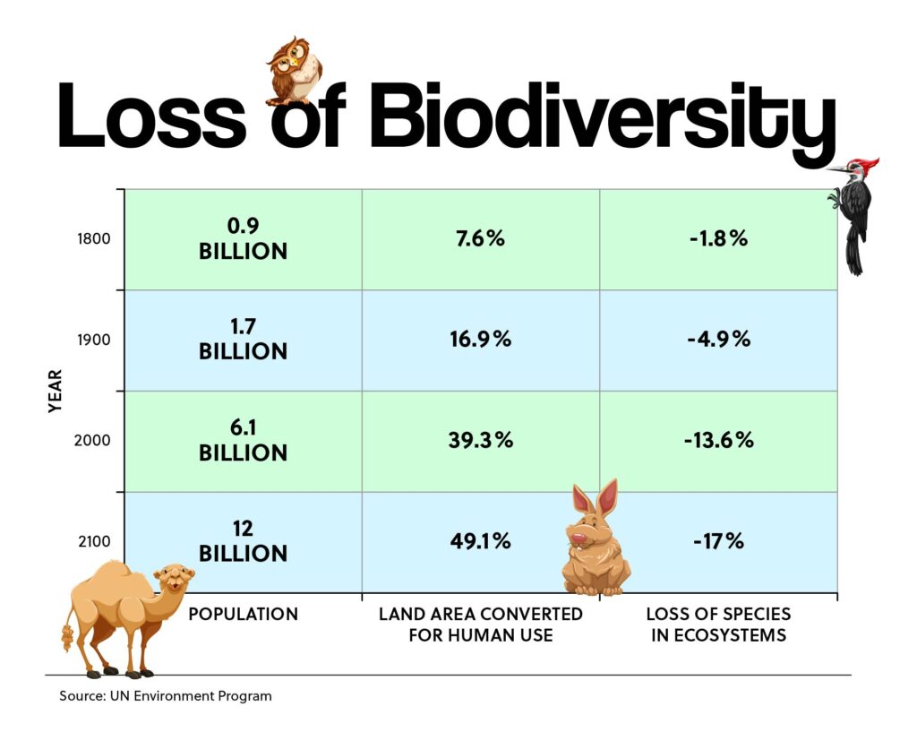 Loss of Biodiversity