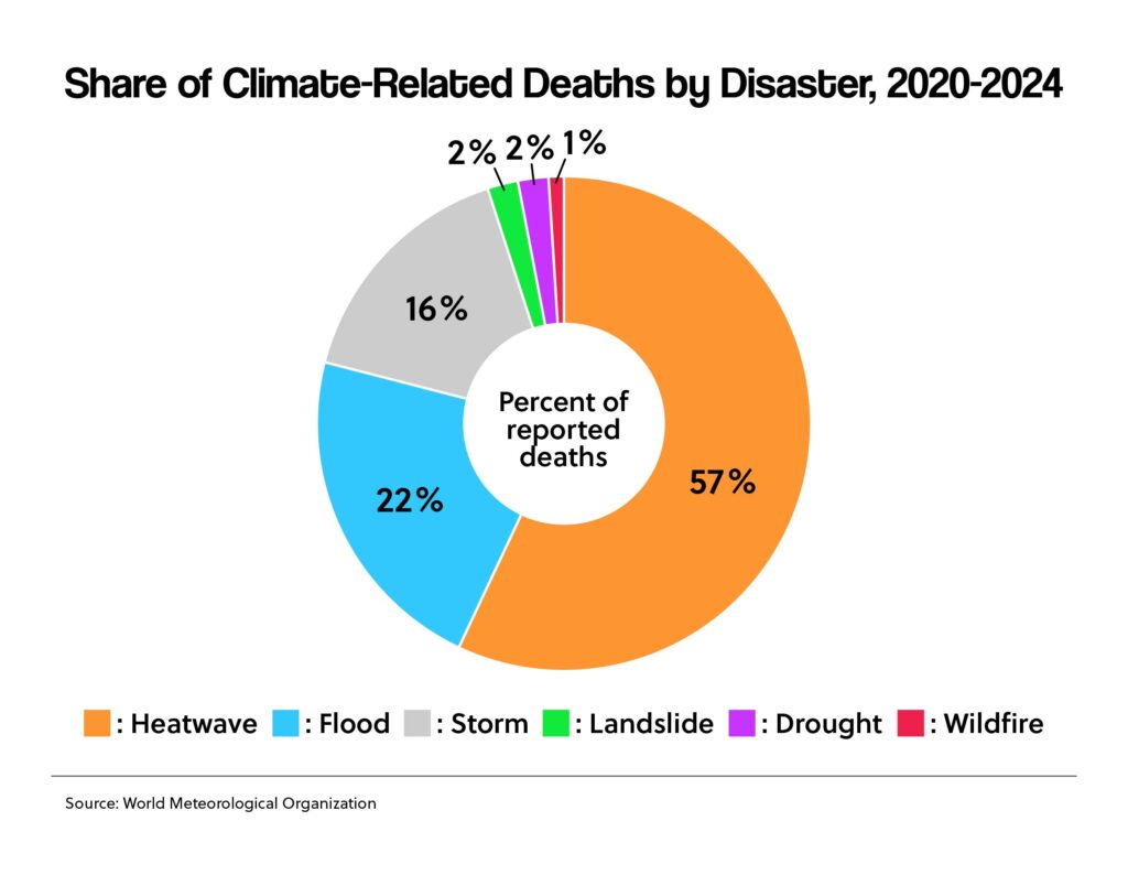 Share of Climate-Related Deaths by Disaster, 2022-2024