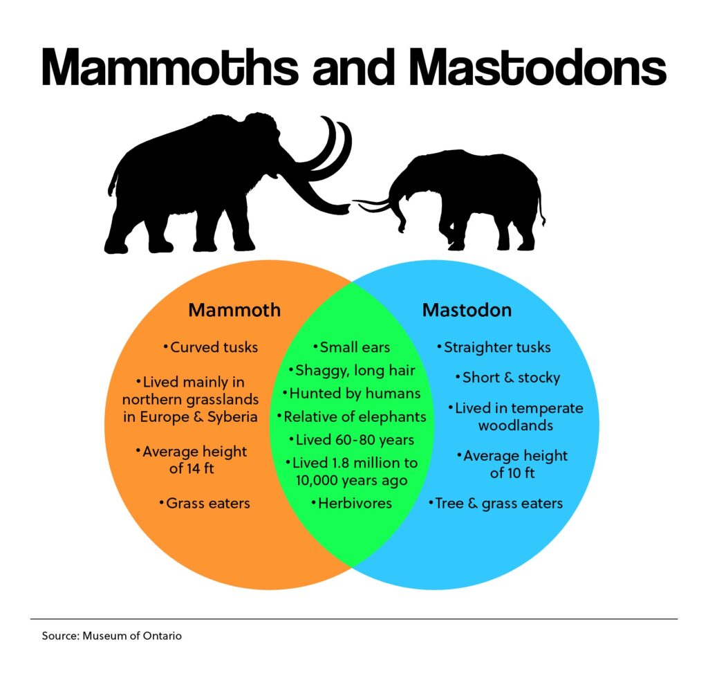 Mammoths and Mastodons