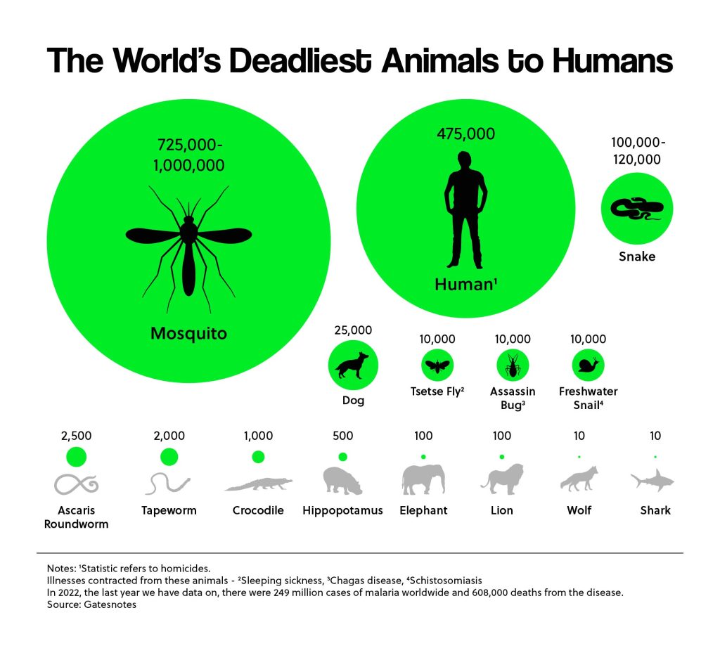 The World's Deadliest Animals to Humans