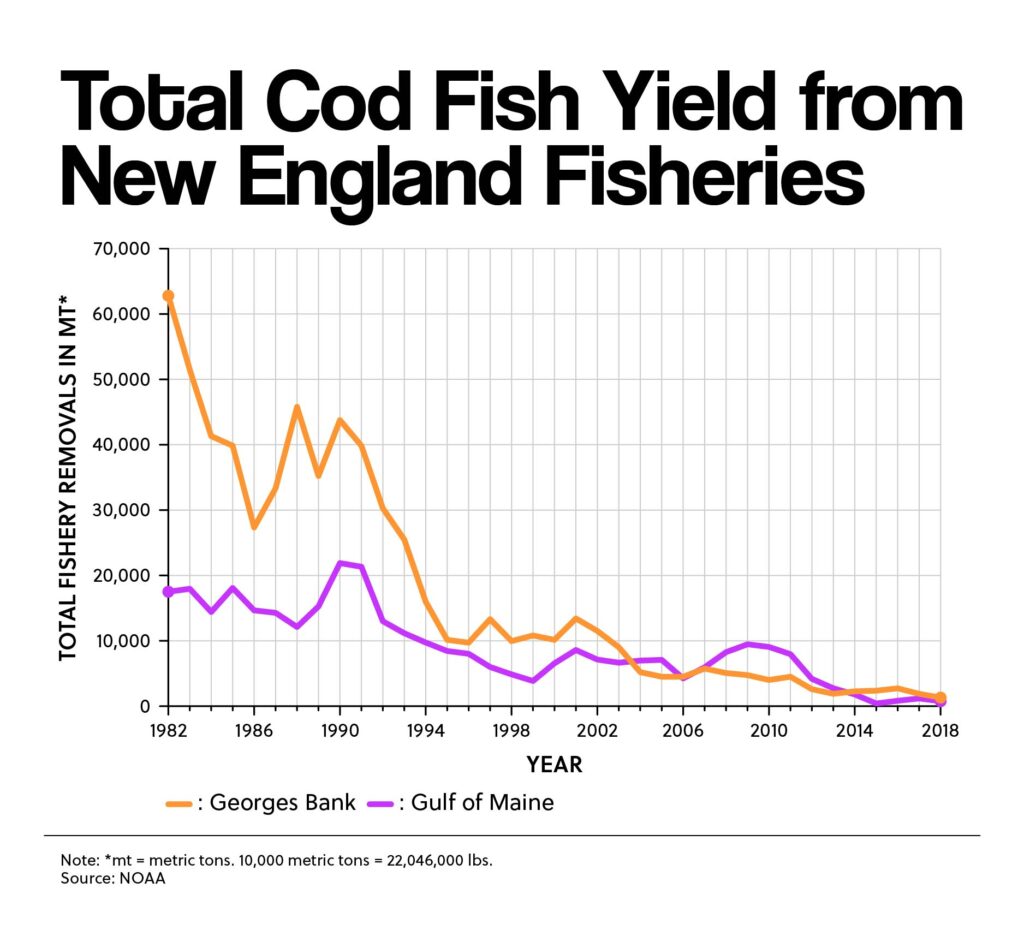 Total Cod Fish Yield from New England Fisheries