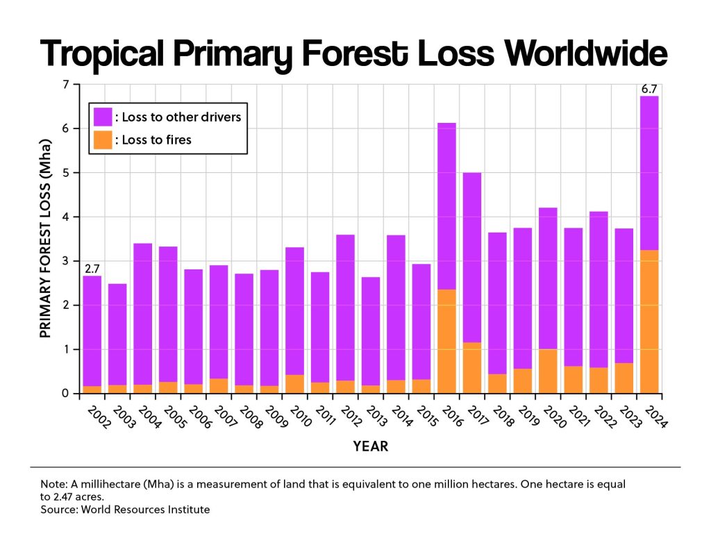 Tropical Primary Forest Loss Worldwide