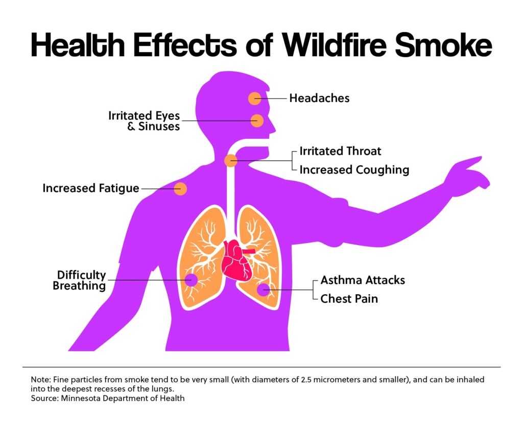 Health Effects of Wildfire Smoke