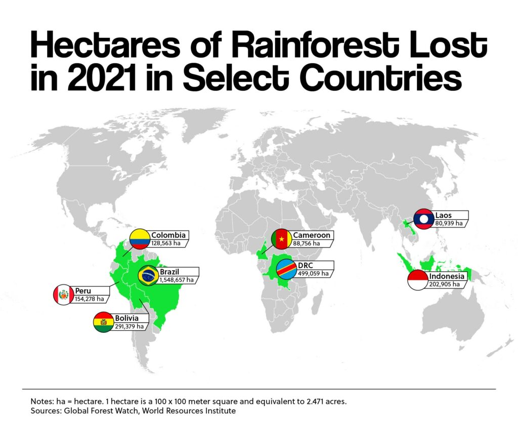 Hectares of Rainforest Lost in 2021 in Select Countries