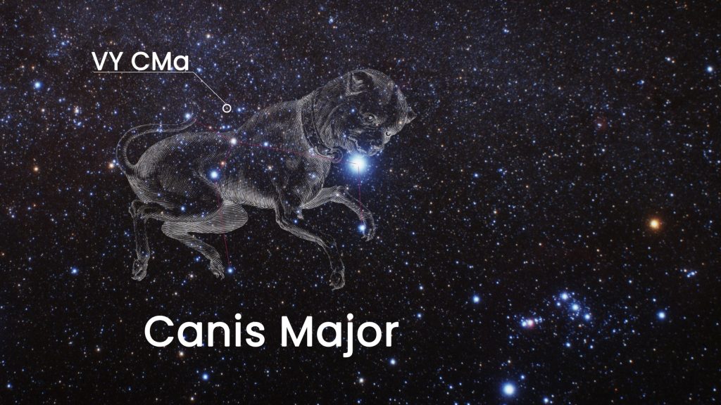 stars