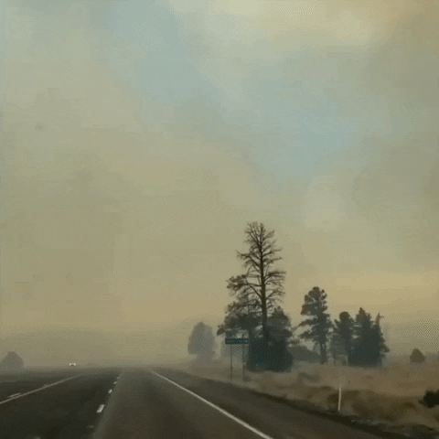 smoke