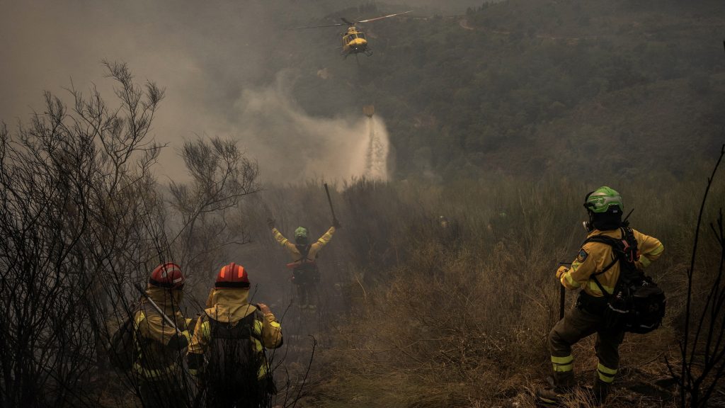 firefighters